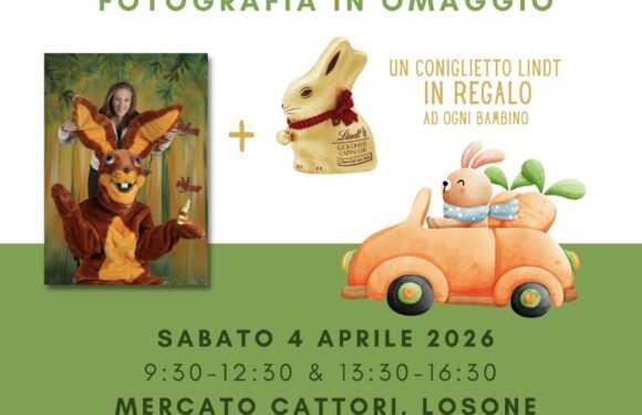 Arriva il coniglietto